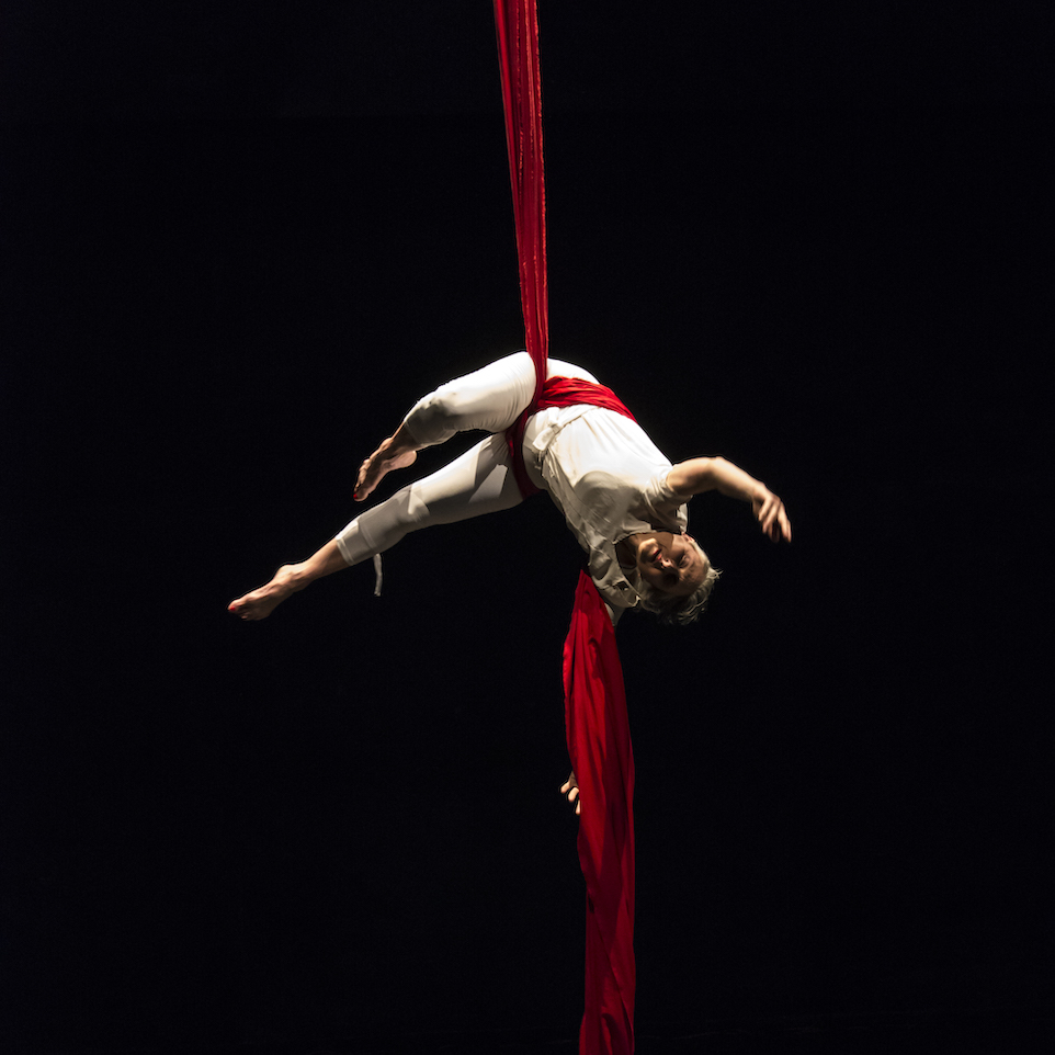 Vivienne Halat aerial tissu